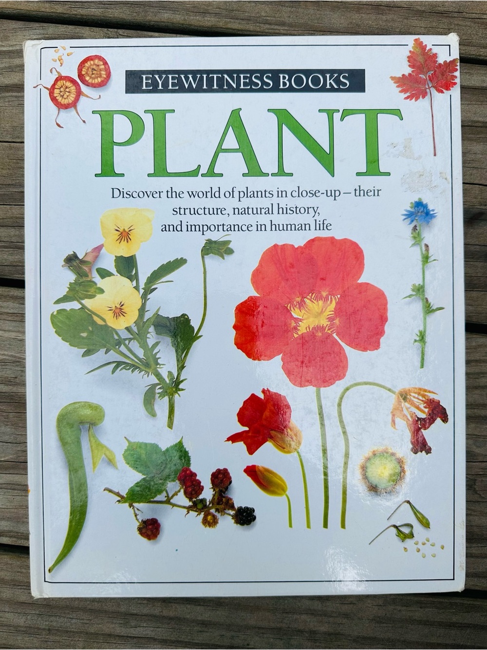 PLANT Hardcover Eyewitness Book -Good Used Condition